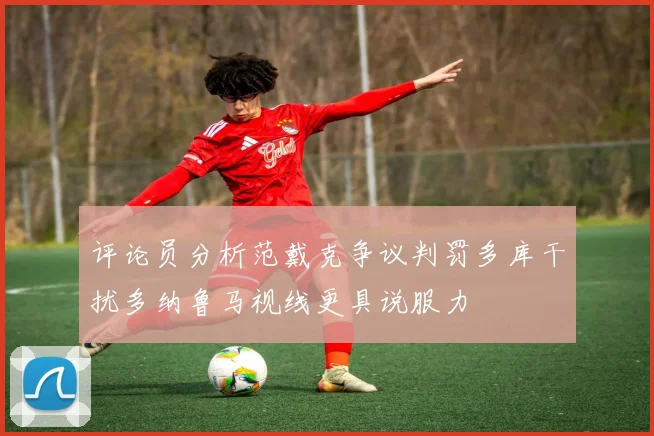 评论员分析范戴克争议判罚多库干扰多纳鲁马视线更具说服力