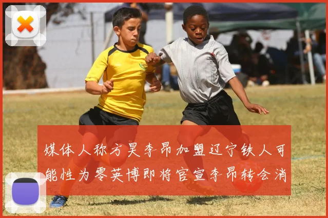 媒体人称方昊李昂加盟辽宁铁人可能性为零英博即将官宣李昂转会消息