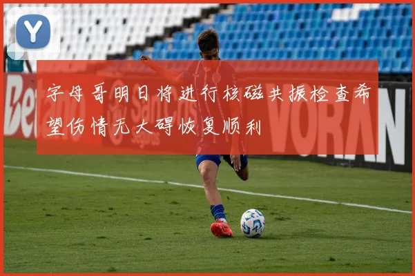 字母哥明日将进行核磁共振检查希望伤情无大碍恢复顺利